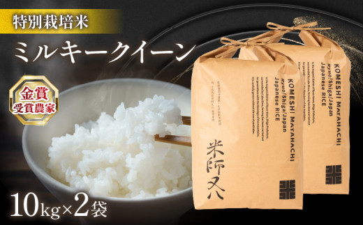 【 1～2週間以内に発送 】令和8年産米 ミルキークイーン 10kg × 2袋 ( 令和8年産 2026年産 ブランド 米 20kg rice 精米 白米 ご飯 内祝い 十六代目米師又八 謹製 もちもち 国産 送料無料 滋賀県 竜王 ふるさと納税 )