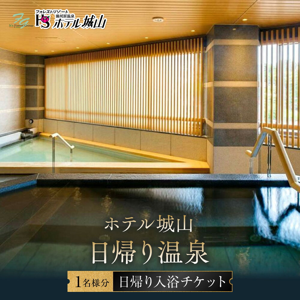 【ふるさと納税】ホテル城山　日帰り温泉 | 券 人気 おすすめ 送料無料