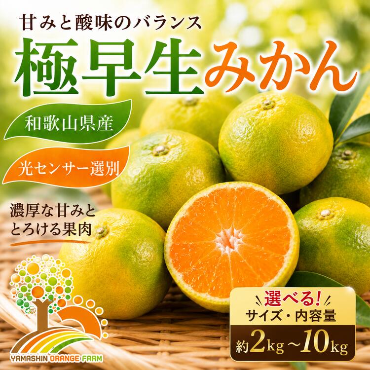 【ふるさと納税】【先行予約】 ＼選べる内容量／ こだわりの極早生みかん 農家直送 有機質肥料100% サイズ混合 ｜ みかん 極早生 早生 柑橘 果物 くだもの 果実 フルーツ 和歌山 有田