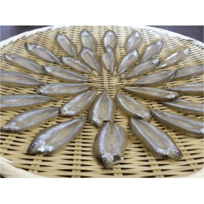 ふるさと納税 近江八幡市 【素材の味をお楽しみください】琵琶湖産　天然わかさぎ一夜干し