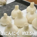 【ふるさと納税】生にんにく　約2.5kg　【野菜】　お届け：2024年5月上旬～6月上旬頃※状況によって希望通りお届けできない場合もあります。