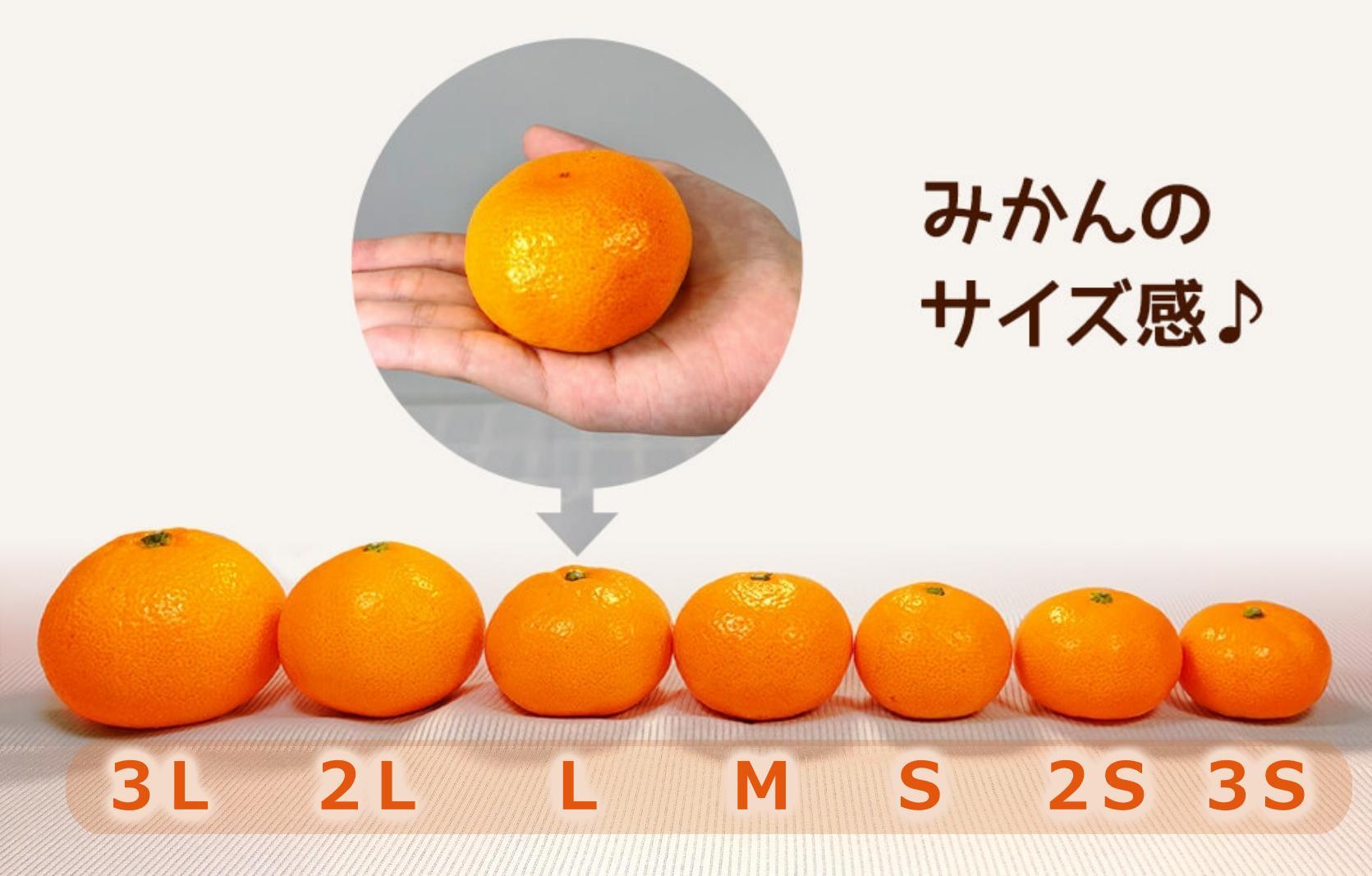 みかん ひとりじめ 箱込 約1kg(内容量約 0.9kg) サイズミックス 和歌山県産 産地直送 家庭用【みかんの会】