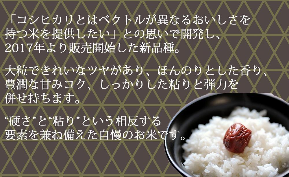 【定期便全6回】新潟県産新之助5kg（受注の翌月から毎月配送）｜新潟県　新潟　米　おこめ　お米