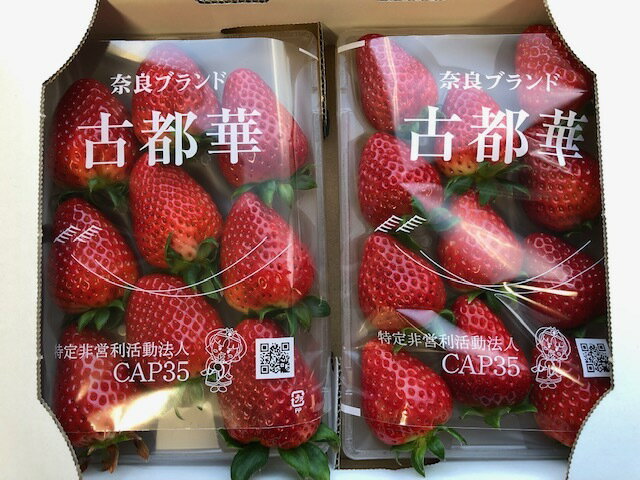 【ふるさと納税】【奈良県三郷町産いちご】　古都華2パック　(1パック280g以上×2パック)　【土耕栽培】