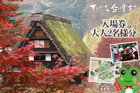 下呂温泉合掌村入場券　2枚 【19-1】合掌村 下呂温泉 チケット 入場 がっしょうむら 下呂市 入場券