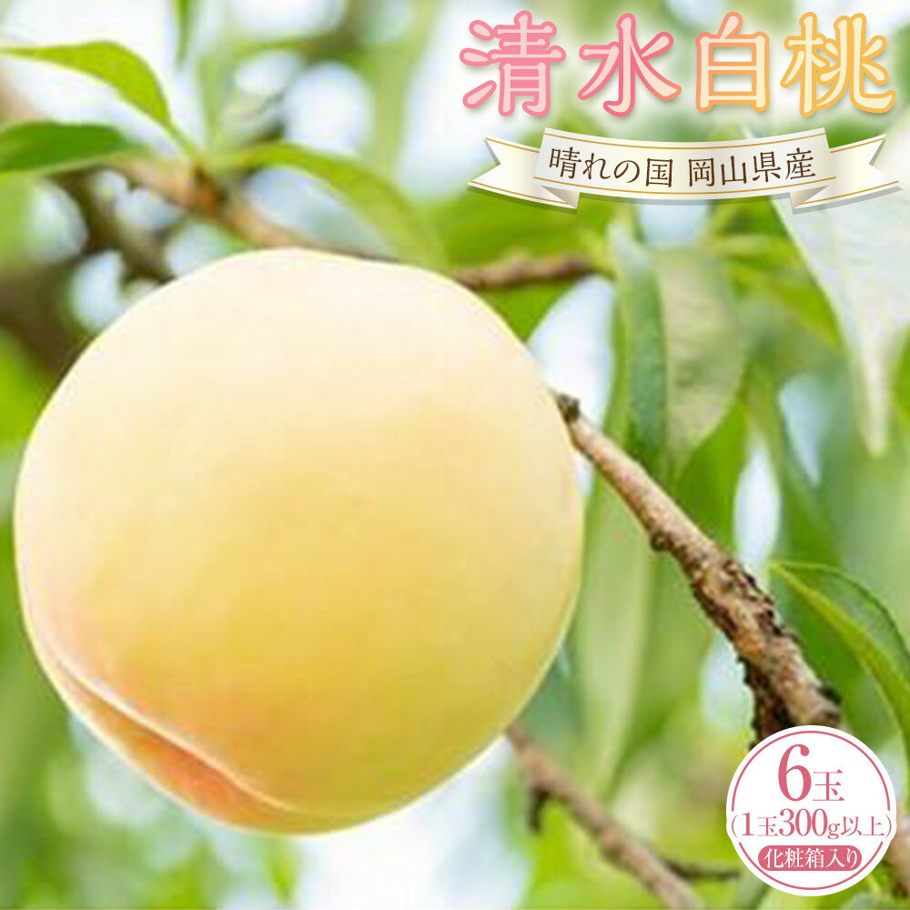 【ふるさと納税】桃 2026年 清水 白桃 6玉（1玉300g以上）化粧箱入りもも モモ 岡山県産 国産 フルーツ 果物 ギフト | もも フルーツ 果物 くだもの 食品 人気 おすすめ 送料無料