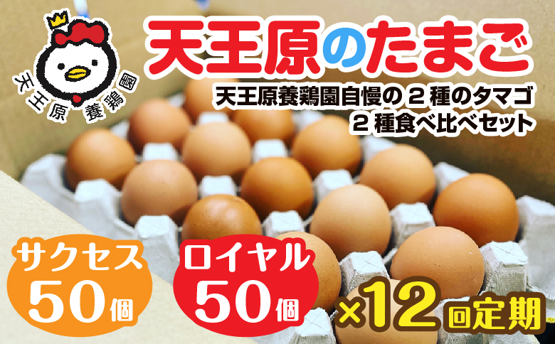 【定期便】12回定期 【天王原のたまご】 サクセス卵50個/ロイヤル卵50個