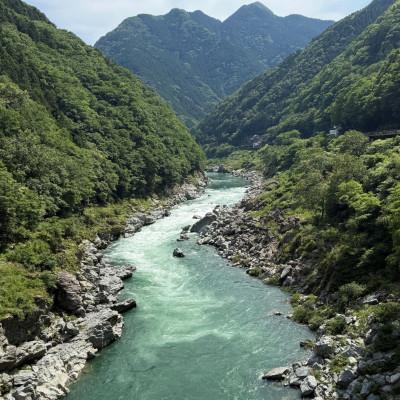 ふるさと納税 三好市 《8個》手造りこんにゃく(丸) |  | 01