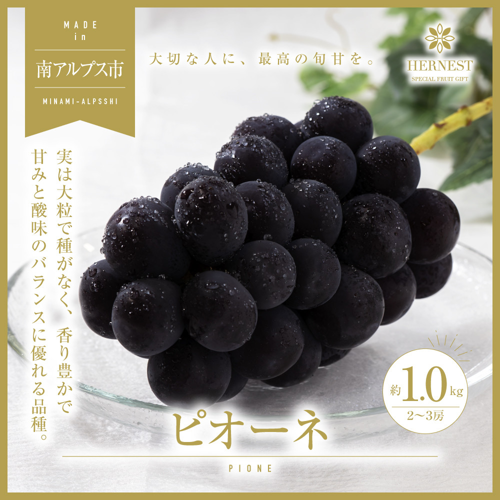
            ＜2026年発送分先行予約＞南アルプス市産　旬の採れたてピオーネ　2～3房入り　約1kg ALPAH012
          