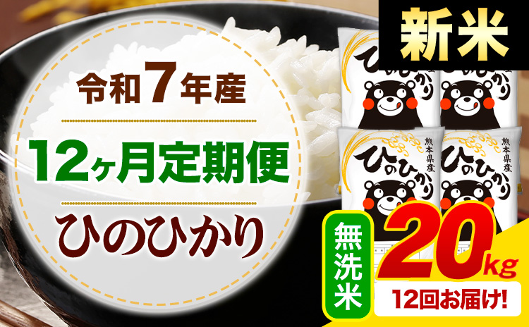 【12ヶ月定期便】新米 令和7年産 無洗米 ひのひかり 定期便 20kg《1月から出荷開始》 熊本県産 ふるさと納税 精米 ひの 米 こめ ふるさとのうぜい ヒノヒカリ コメ お米---mifune_lcl_683_jan12---