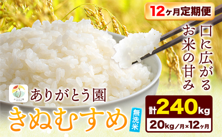 【12ヶ月定期便】令和6年産 米 岡山県産 きぬむすめ 無洗米 20kg ありがとう園《お申込み月の翌月から出荷開始》岡山県 矢掛町 無洗米 米 コメ 一等米 定期便 定期