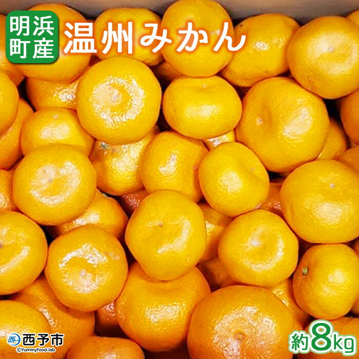 【ふるさと納税】＜産地直送！愛媛県明浜町産 温州みかん 約8kg＞ ミカン 蜜柑 柑橘類 フルーツ 果物 甘い おいしい おすそ分け ギフト 贈答 特産品 季節限定 期間限定 旬 宇都宮農園 愛媛県 西予市【常温】『2025年11月上旬～2026年1月中旬迄に順次出荷予定』