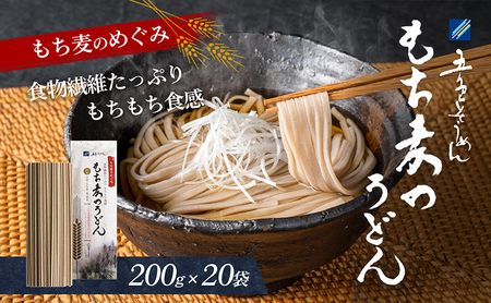 うどん もち麦 うどん