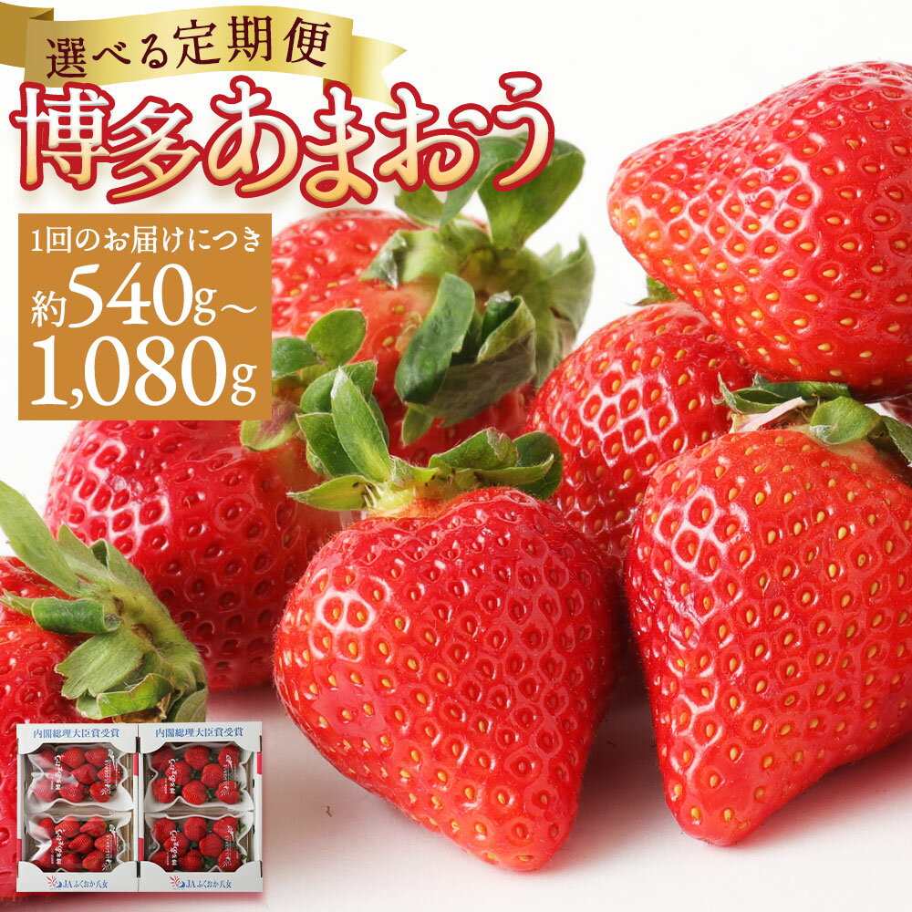 【ふるさと納税】【選べる定期便】いちご あまおう 約540g/約1kg 2回定期便/3回定期便 選べる 内容量 定期便 イチゴ 苺 果物 くだものフルーツ 福岡県産 九州産 送料無料【2026年1月上旬より順次発送予定】