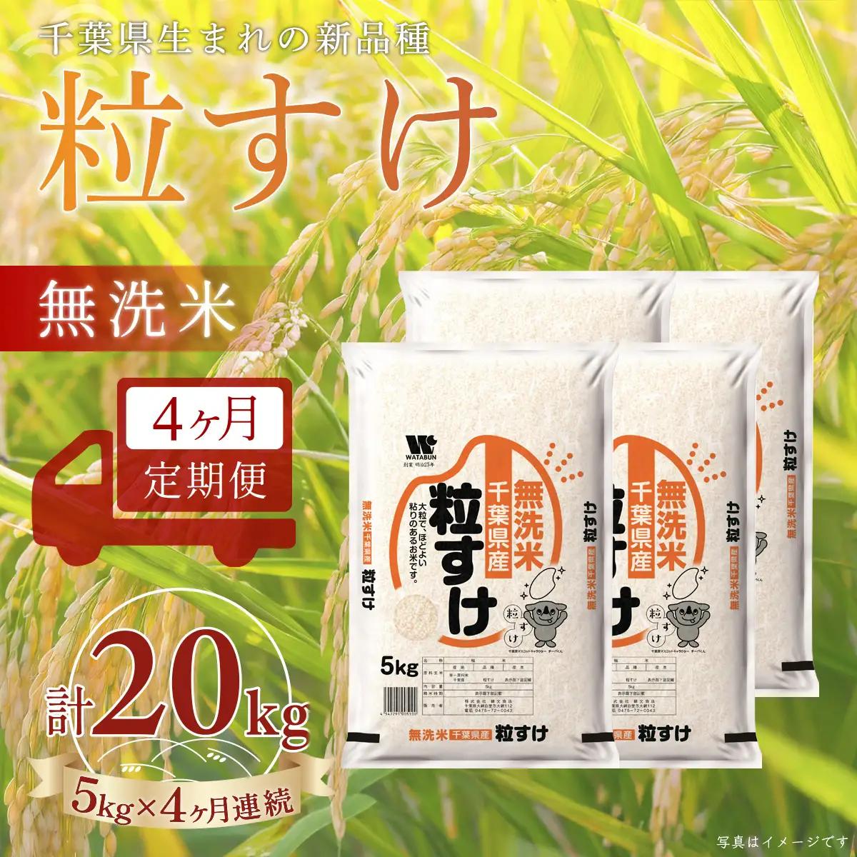 ＜4か月定期便＞ 千葉県産「粒すけ」無洗米 5kg×4か月連続 計20kg A092
