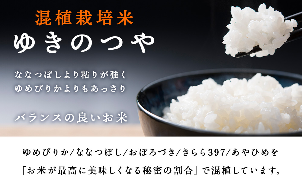 【定期便 6カ月】北斗米ゆきのつや30kg(5kg×6袋) お米 こめ 精米 白米 ごはん ブランド米 国産米 北海道産 東神楽町