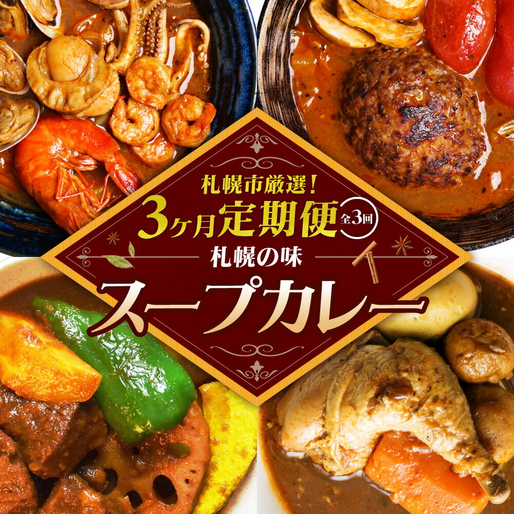 【ふるさと納税】 札幌 スープカレー 定期便 3回 厳選 カレー 海鮮 牛たん チーズ ハンバーグ おくしばーぐ シーフード 逸品 セレクション 奥芝商店 らっきょ お取り寄せ 惣菜 レトルト レトルトカレー 簡単調理 グルメ 冷凍 北海道 札幌市