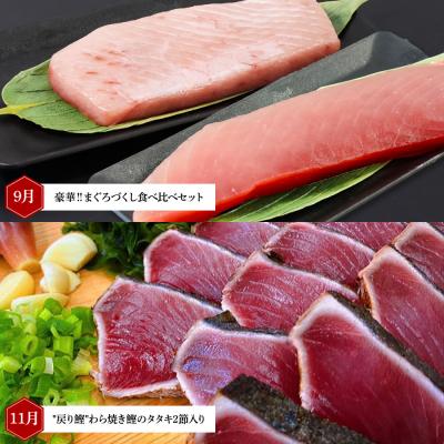 ふるさと納税 田野町 【四国一小さなまち】厳選お楽しみ福袋!海鮮人気グルメ定期便★6回★奇数月配送 |  | 03