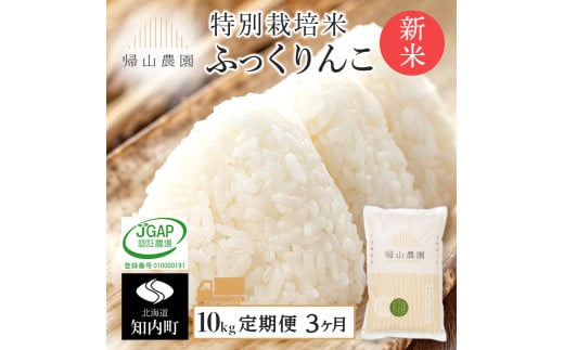【令和7年産新米予約】【6カ月定期便】特別栽培米産地直送「ふっくりんこ 10kg」《帰山農園》
