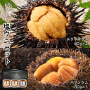 【ふるさと納税】ウニ 塩ウニセット 計 240g (ムラサキウニ×2P バフンウニ×1P) 北海道産 ムラサキウニ バフンウニ 塩ウニ 塩蔵うに ミョウバン不使用 ごはんのお供 うに丼 海鮮丼 パスタ おにぎり 珍味 魚介 冷凍 化粧箱 ギフト 贈答用 お中元 お歳暮 セット 送料無料