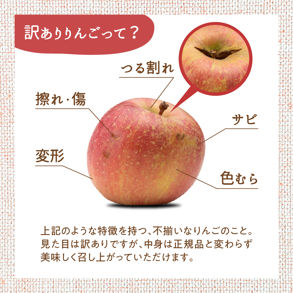 【2026年10月下旬発送】【訳あり】 りんご 5kg 紅玉 アップルパイ に最適 青森 不揃い