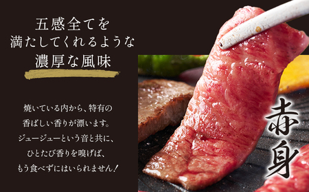 【ふるなびWEEK対象】くまもと黒毛和牛 A4～A5等級厳選 焼肉用 赤身×霜降り食べ比べセット 1200g  FN-Limited-PR