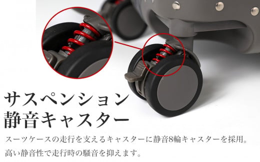 [PROEVO] アルミスーツケース フレームキャリー 機内持ち込み対応サイズ S(ジオメトリック/シルバー)  [30001] 福岡県 大木町 株式会社 レクサス AY328