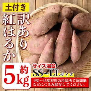 isa521 《訳あり》熟成紅はるか(約5kg・SS～LLサイズ混合) 訳あり さつまいも 紅はるか 鹿児島 生芋 完熟 長期熟成 土付き べにはるか サツマイモ 焼き芋に【いさ工房】