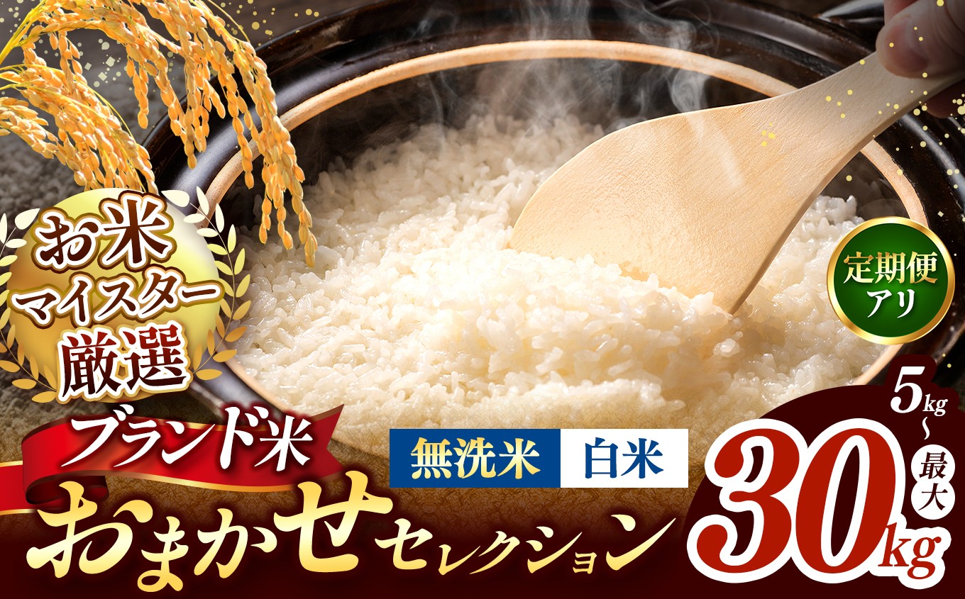 
                  【 令和7年産 】おまかせ セレクション 熊本県産 白米 or 無洗米  ＜ひのひかり / 森のくまさん / くまさんの輝き ＞ 単品 定期便 | 単一銘柄 米 単一米 お米 こめ 小分け 人気 コメ お米 5kg 10kg 15kg 20kg 25kg 30kg 定期便 3回 6回 12回 ブランド米 菊池川流域  家庭用 送料無料  熊本 くまもと 熊本県 和水 和水町 人気 ごはん 
                