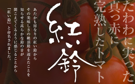 じゅわっと極甘のフルーツミディトマト 約1kg (バラ箱詰め) 幸せ寄附額 ハッピーキャンペーン 開催中【とまと トマト フルーツトマト ミディトマト ミニトマト トマトジュース 野菜 やさい 人気 