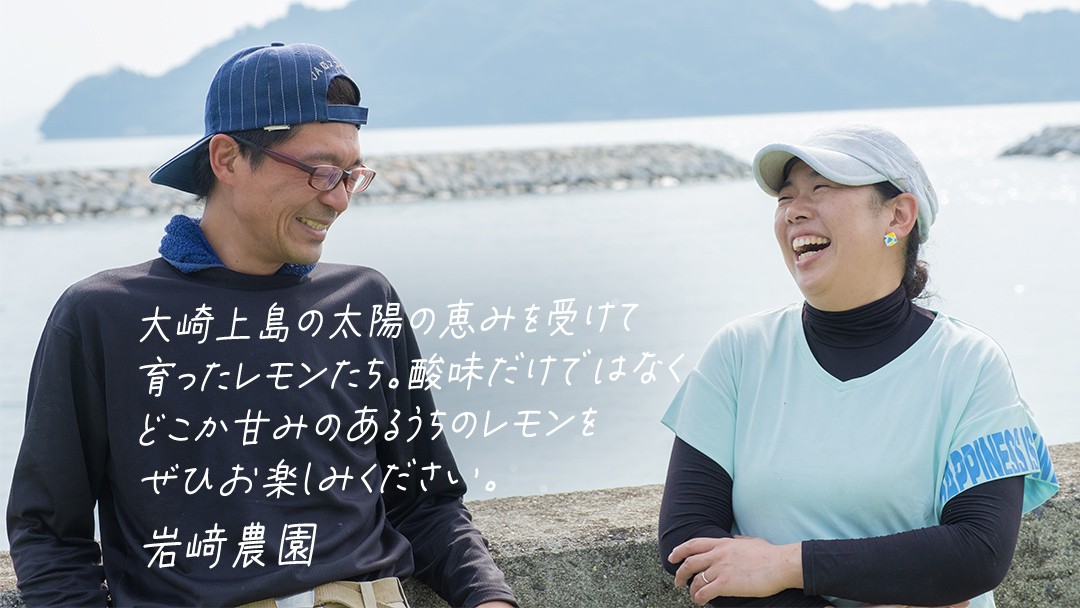お届けするレモンには、黄緑色のレモンが含まれる場合がありますが、問題なくお召し上がりいただけます。
