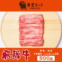 【ふるさと納税】飛騨牛モモもしくはカタ 500g (すき焼き・しゃぶしゃぶ用)【配送不可地域：離島】【1042663】