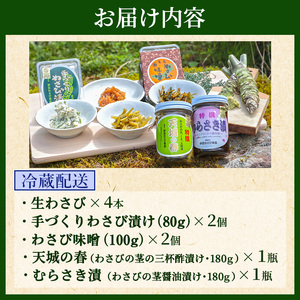 とれたて わさび セット 池 伊豆わさび食品直送 生わさび 4本 手作り わさび漬け 天城の春 三杯酢漬け わさびみそ むらさき漬 醤油漬け 伊豆 ワサビ 茎 加工品 加工食品 薬味 詰め合わせ 静岡