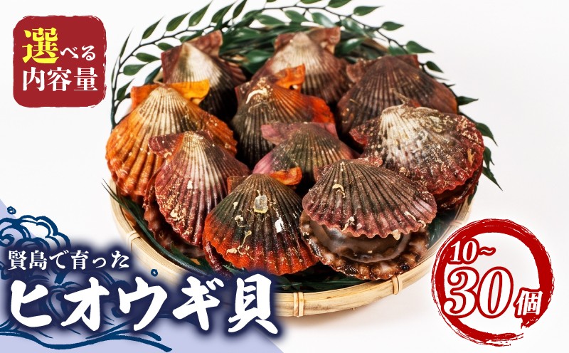 
                  【個数が選べる】 ヒオウギ貝 10～30個 魚介 貝 ヒオウギ貝 ひおうぎ貝 酒蒸し 網焼き バター焼き バーベキュー 焼き貝 蒸し 獲れたて 冷蔵 あっぱ貝 三重県 志摩市
                