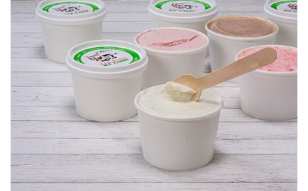 《2026年4月発送》北海道産 手作りアイスクリーム 120ml×12個セット (おまかせ詰め合わせ)  南幌町 NP1-023