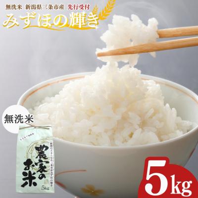 ふるさと納税 三条市 先行受付 新潟県三条市産 みずほの輝き 無洗米 5kg [グリーンファーム渡前] 【015S180】