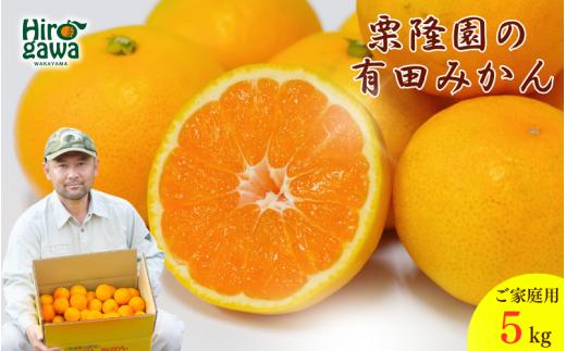 有田 みかん ご家庭用 サイズ混合 5kg / 有田みかん 温州みかん 甘い 家庭用 和歌山 柑橘 5kg ※2026年10月上旬～2027年2月上旬に順次発送【krt004-c-5A】