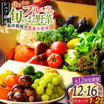 ふるさと納税 大洲市 【全12回定期便】栽培期間中農薬不使用!旬のお野菜セット×もぎたてフルーツセット [AGBX008]