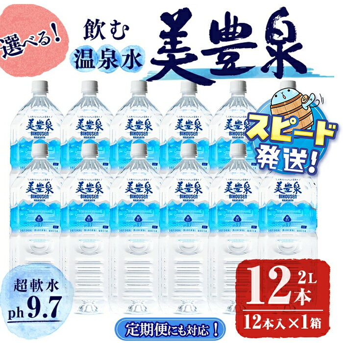 【ふるさと納税】【定期便対応】＜すぐ届く！＞飲む温泉水/美豊泉 (2L×12本 / 定期便6回 計72本 or 定期便12回 計144本) 水 ミネラルウォーター 温泉水 シリカ水 軟水 超軟水 ペットボトル 2L 国産 鹿児島産 垂水市 常温 常温保存【池田建設】