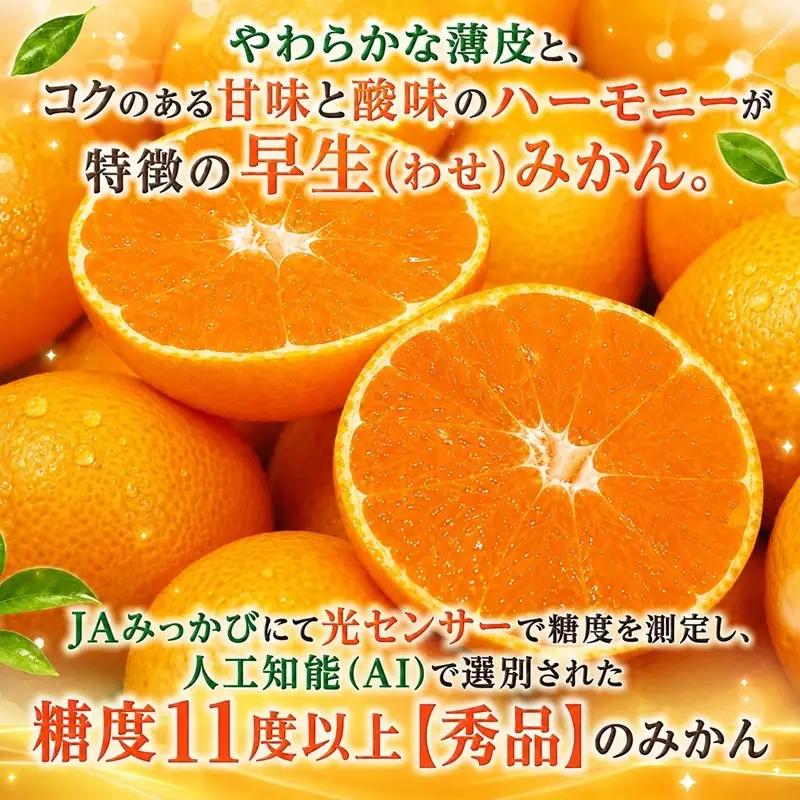 三ケ日みかん 早生【秀品】Mサイズ4kg(36個前後) ミカン 果物 くだもの フルーツ 甘い 静岡県 浜松市 果物類 柑橘類 