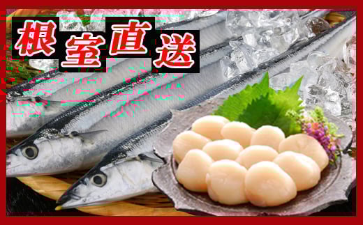 A-30033 冷凍生さんま5尾×2P、ほたて貝柱200g×1P