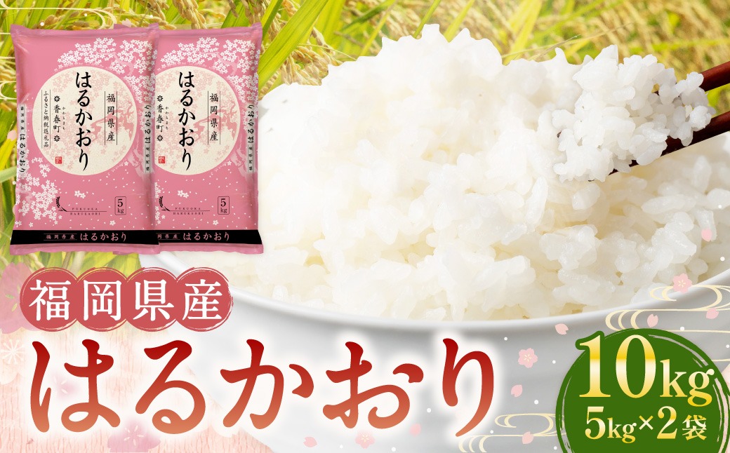 【令和6年産】福岡県産米 はるかおり 精米 10kg ／ ふるさと納税限定 ふるさと納税限定品 お米 米 白米 食品 ご飯 飯 九州 福岡県 香春町
