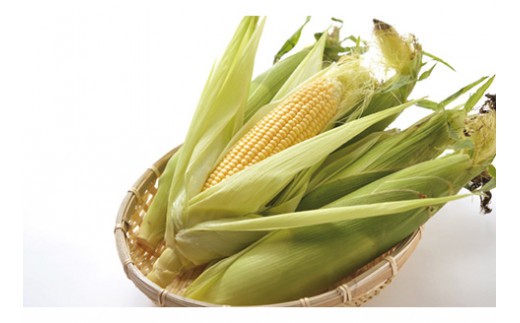 【道の駅ニセコビュープラザ直売所厳選定期便】北海道ニセコ町産農産物頒布（年間4回発送）＜2026年予約＞