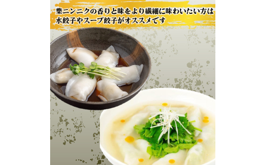 有機 葉 ニンニク と 四万十 豚 で作った 最高級 餃子 （ 6個入り x 8パック ）ぎょうざ ギョウザ にんにく 高知 野菜