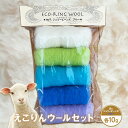 【ふるさと納税】えこりんウールセット《白とジェリービーンズ　ブルー》 手芸キット ウール 生地 手芸 6,000円 6000円 手作り ふるさと納税 北海道 恵庭 恵庭市【190050】
