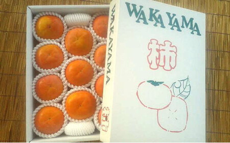 ［厳選・産直］和歌山産の富有柿約4kg（化粧箱入り）（2L～4Lサイズ）※2024年11月上旬～2024年12月上旬頃に順次発送【tec401A】