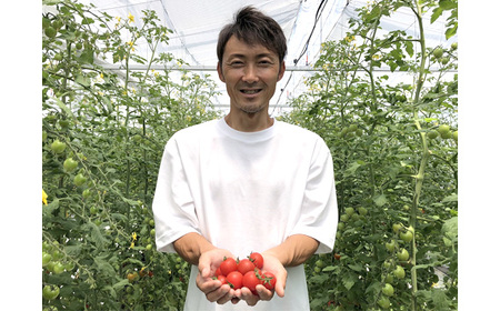 No.191 有機栽培ミニトマト　知多アモーレトマト　約1kg