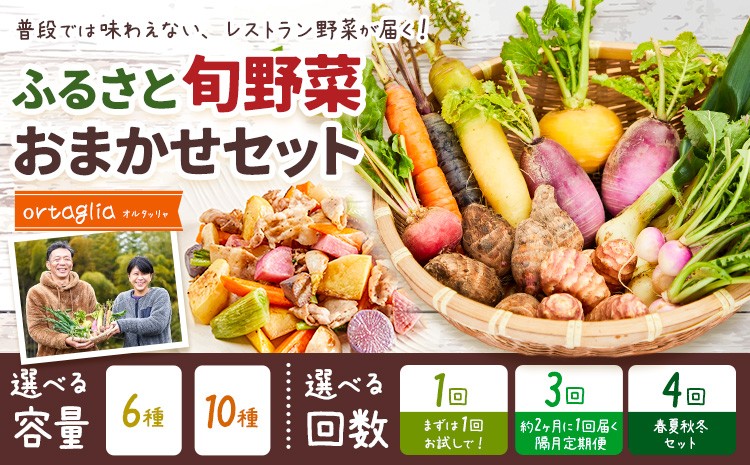 
                  季節の旬野菜 おまかせセット 選べる容量 6種 10種 選べる回数 1回 3回 4回 （農薬・化学肥料不使用）オルタッリャ 《出荷時期をお選びください》【配送不可地域あり】 
                