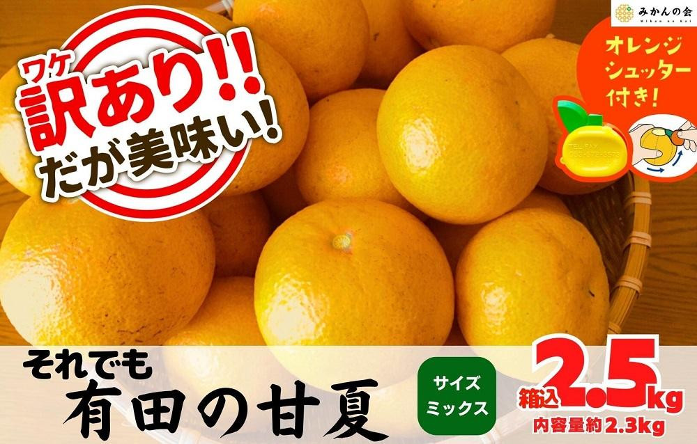 
訳あり それでも 甘夏 箱込 2.5kg (内容量約 2.3kg) サイズミックス 産地直送 家庭用 おまけ付き【みかんの会】
