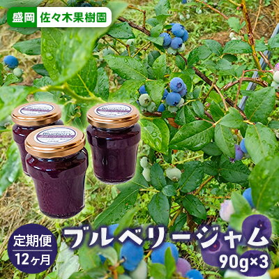 【ふるさと納税】ジャム 定期便 12か月 ブルーベリージャム 90g×3本 佐々木果樹園 乙部角屋謹製 ブルーベリー 瓶 フルーツ 果物 朝食 ヨーグルト パン 自然栽培 岩手 岩手県 盛岡 盛岡市 定期 12回